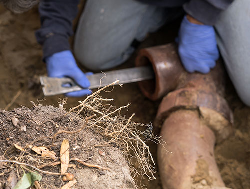 Sewer Line Repair